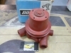 BA199 BOMBA AGUA CARRETILLA Y COSECHADORA FENWICK MOTOR PERKINS P4 DOLZ P320